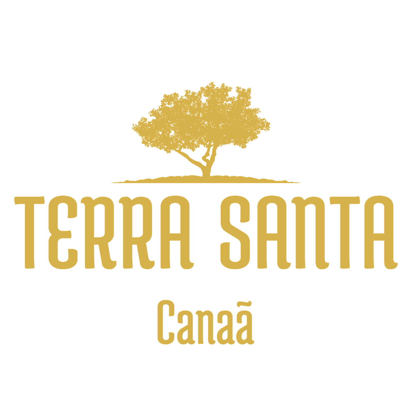 Logo Terra Santa Canaã