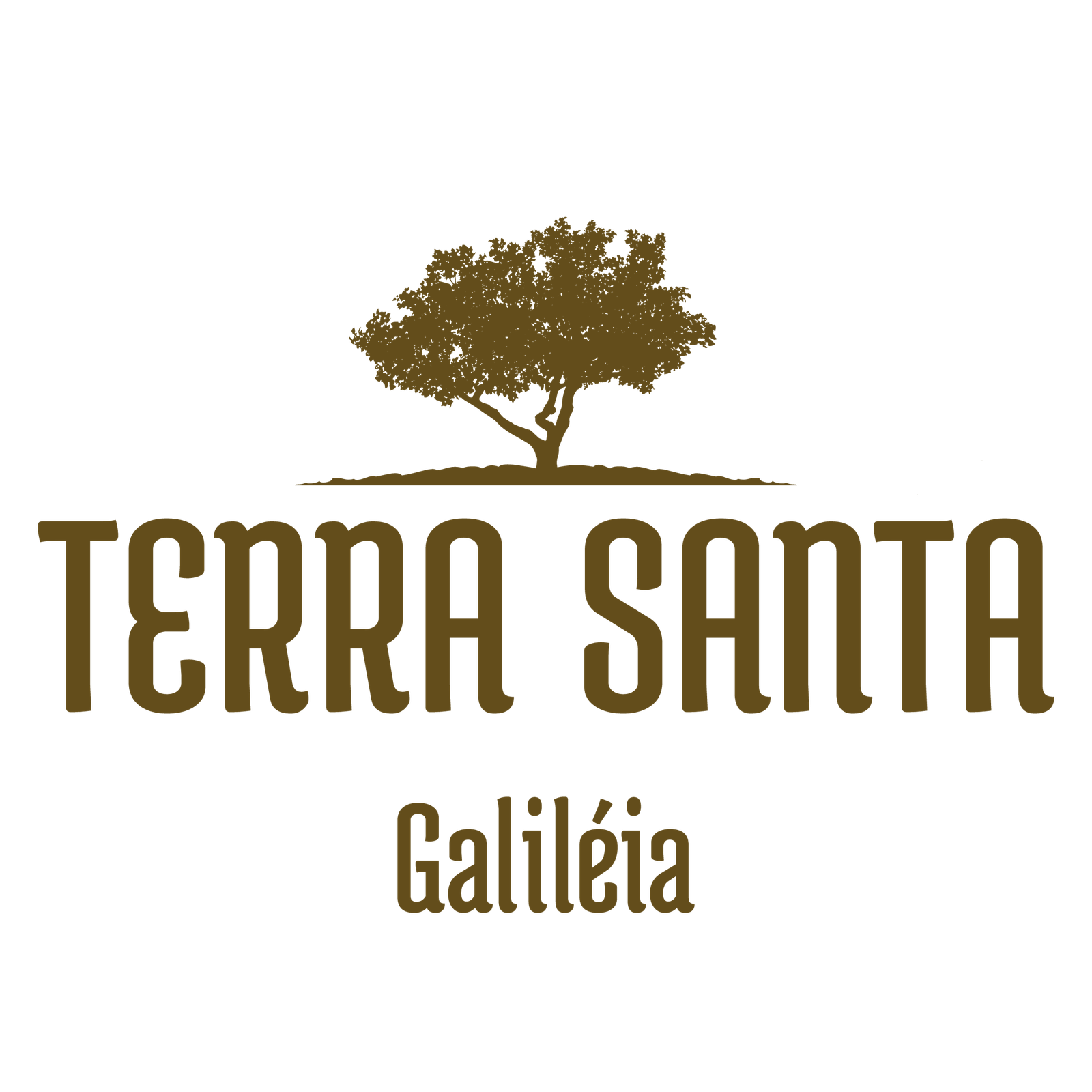 Logo Terra Santa Galiléia