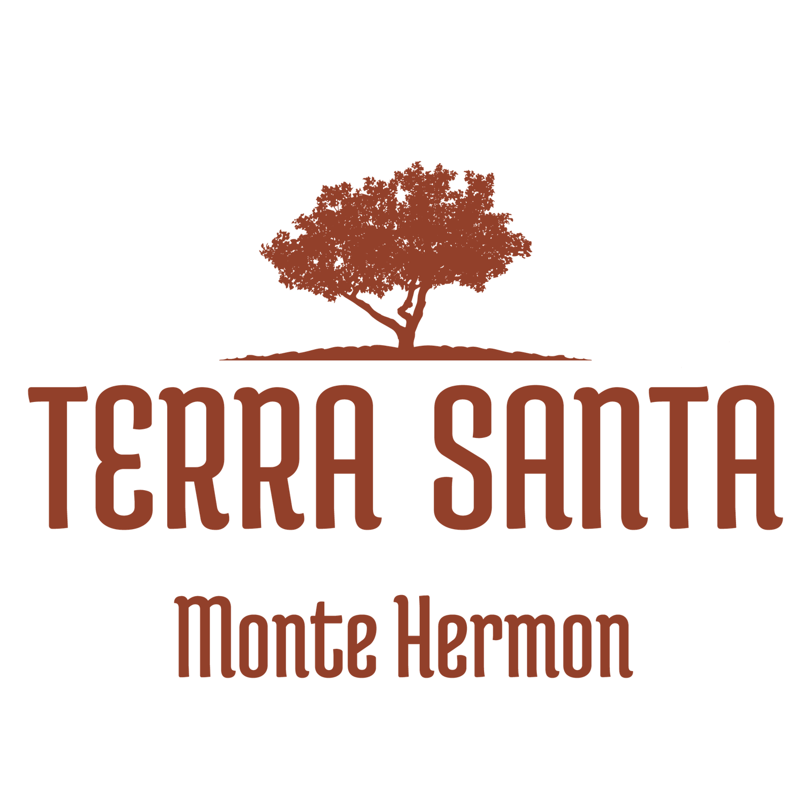 Logo Terra Santa Monte Hermon