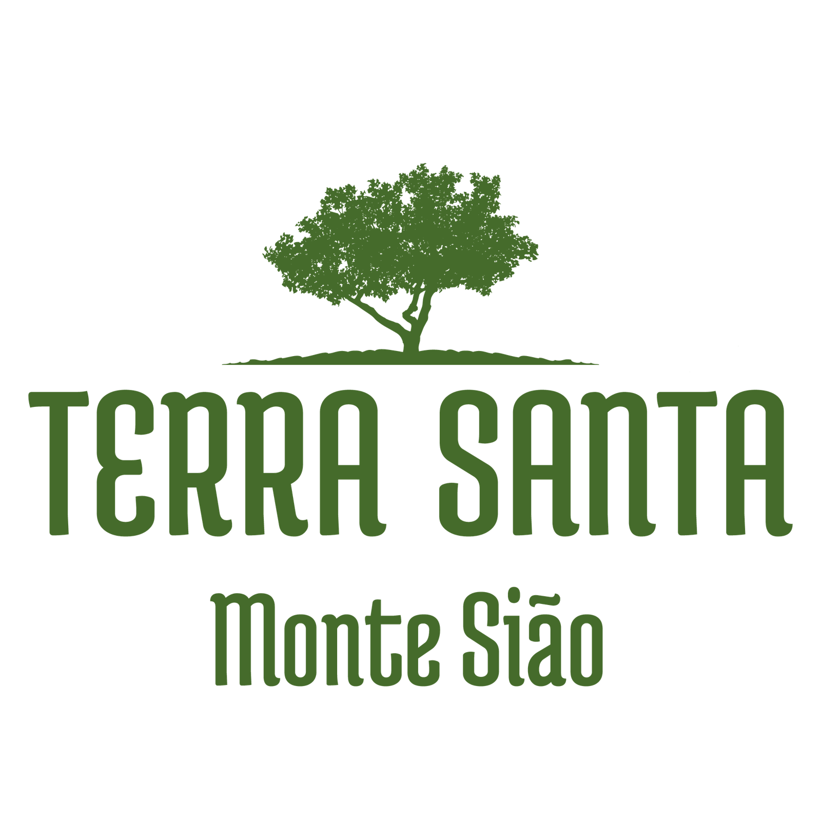 Logo Terra Santa Monte Sião