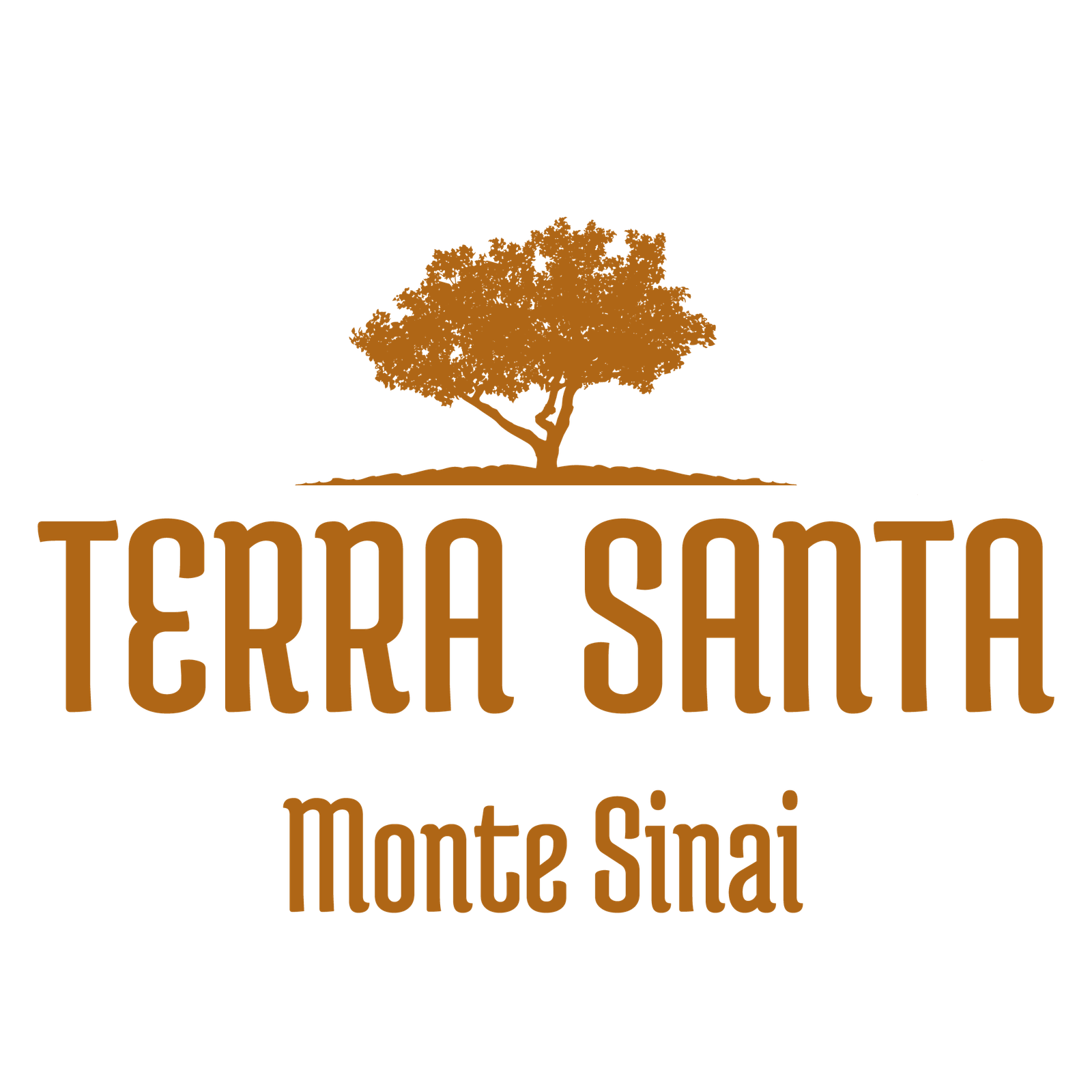 Logo Terra Santa Monte Sinai